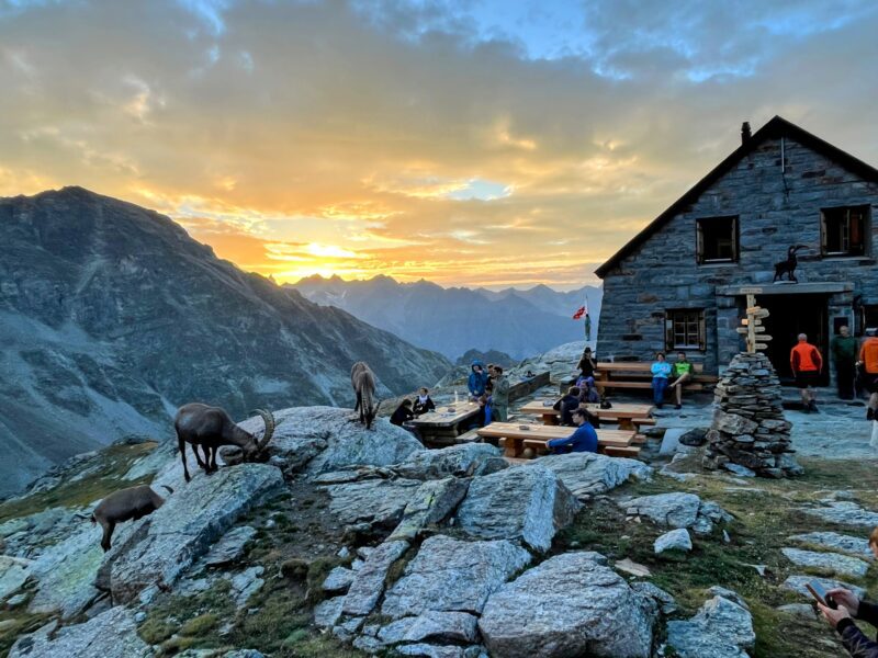wanderung_bordierhütte_