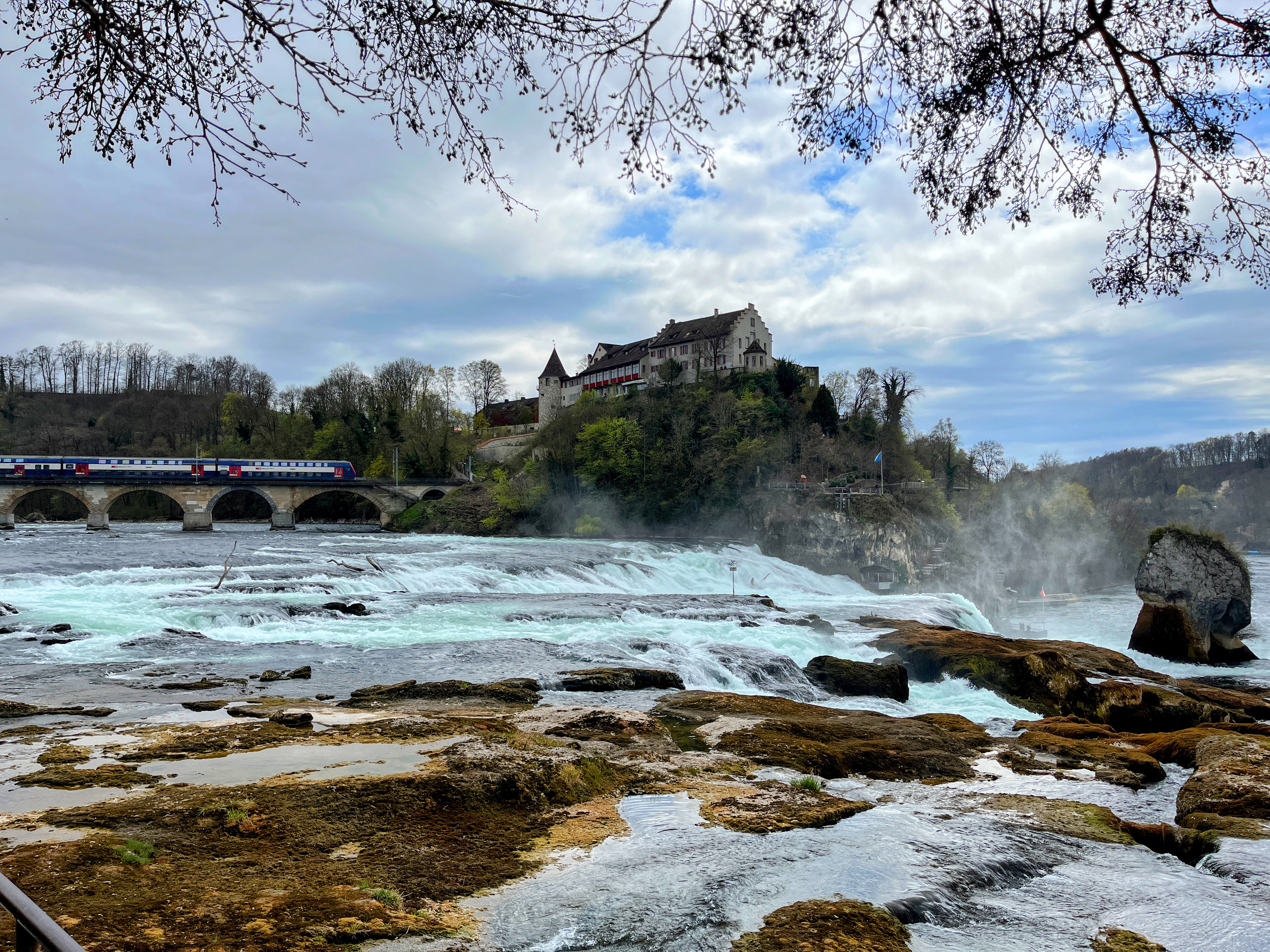 wanderung_rheinau_rheinfall_schaffhausen_