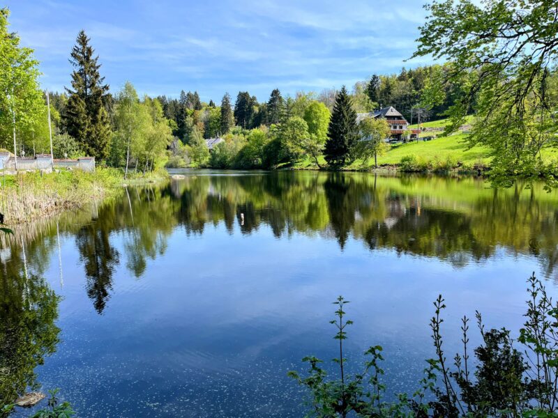 wanderung_schluchtensteig_schwarzwald_