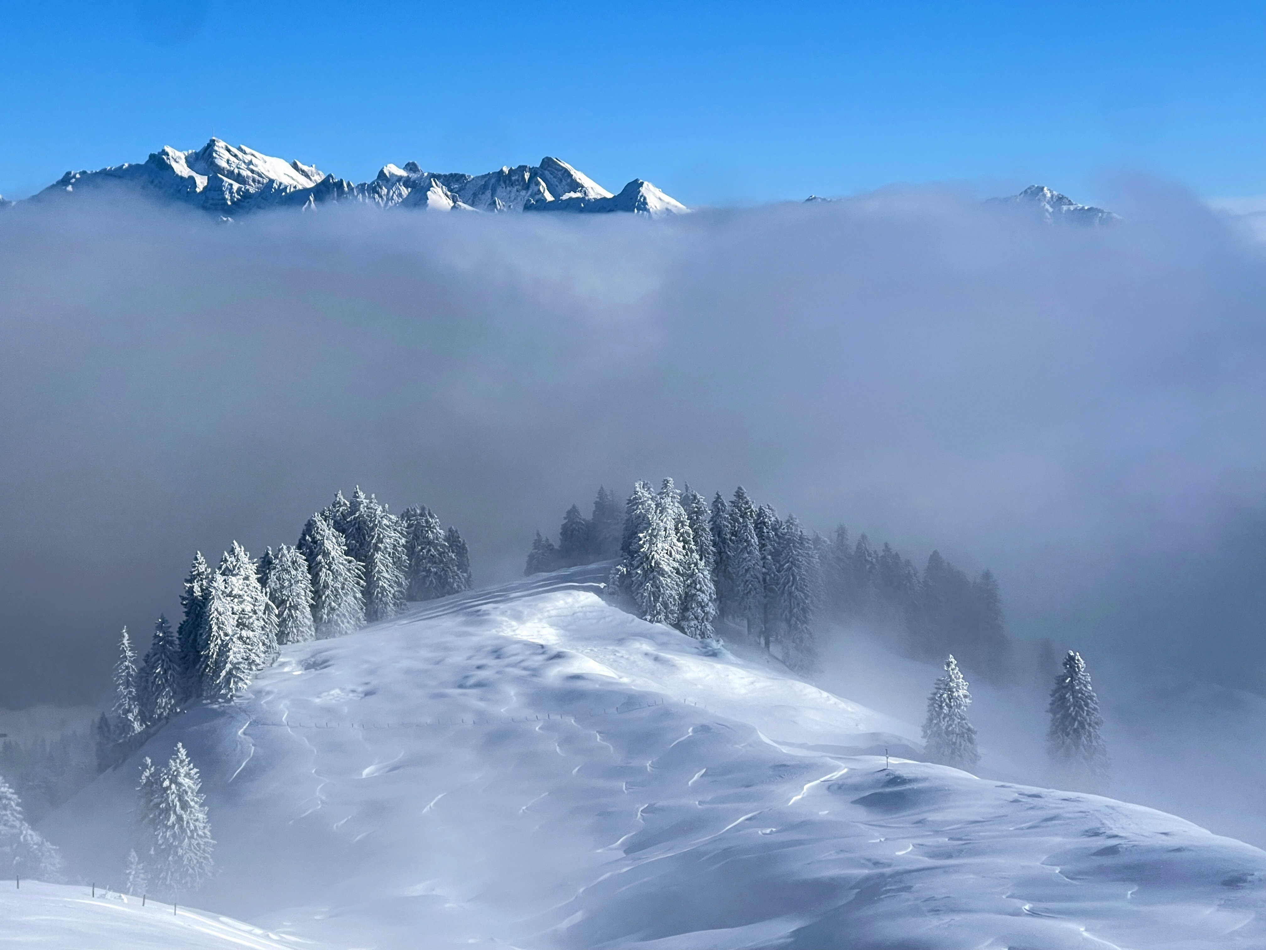 schneeschuhwanderung_tanzboden_rieden_