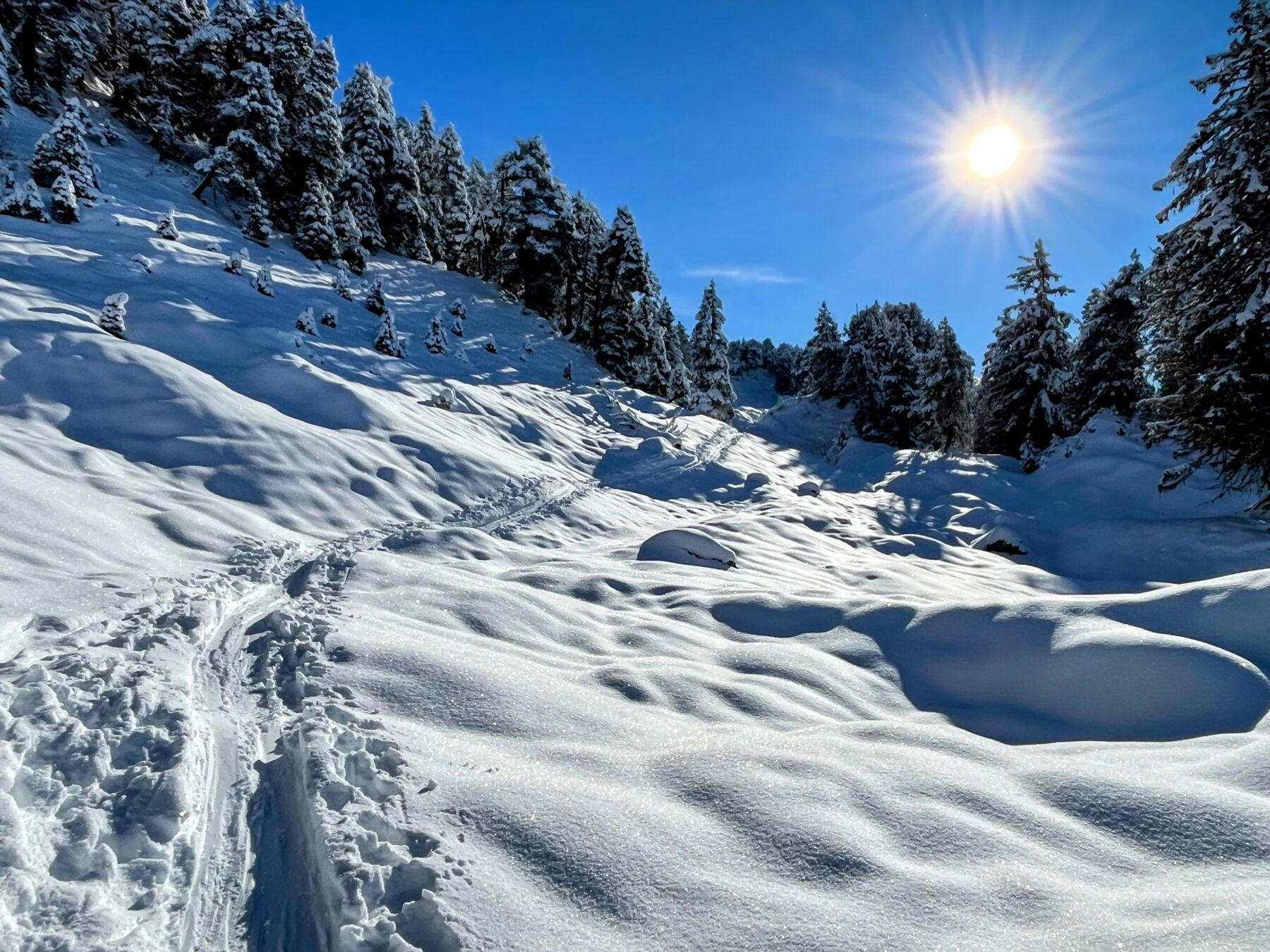 schneeschuhtour_laucherenstoeckli_ibergeregg_brunni__IMG_5764