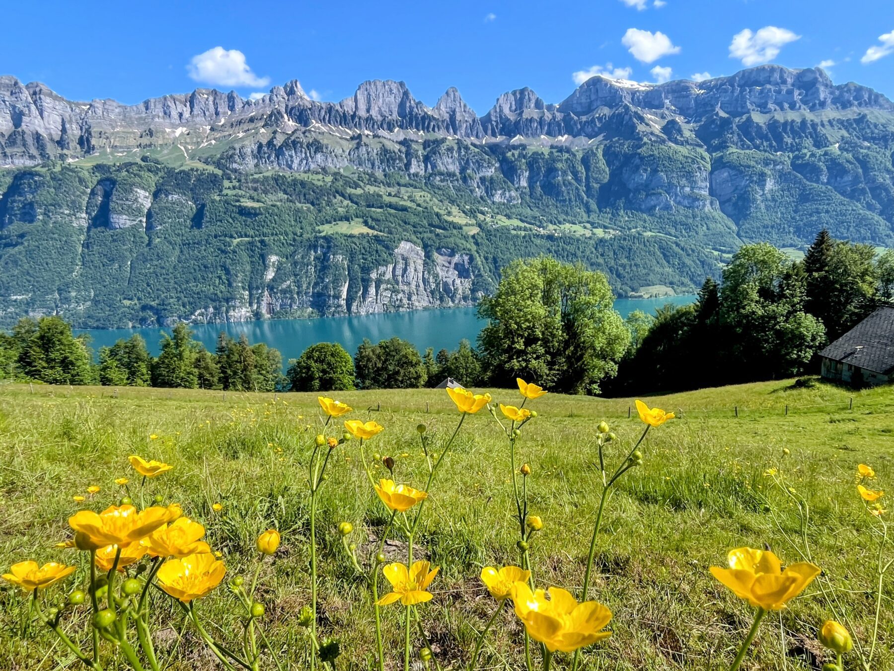 wanderung_unterterzen_tannenboden_