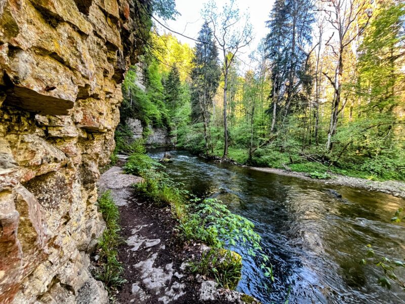 wanderung_schluchtensteig_schwarzwald_