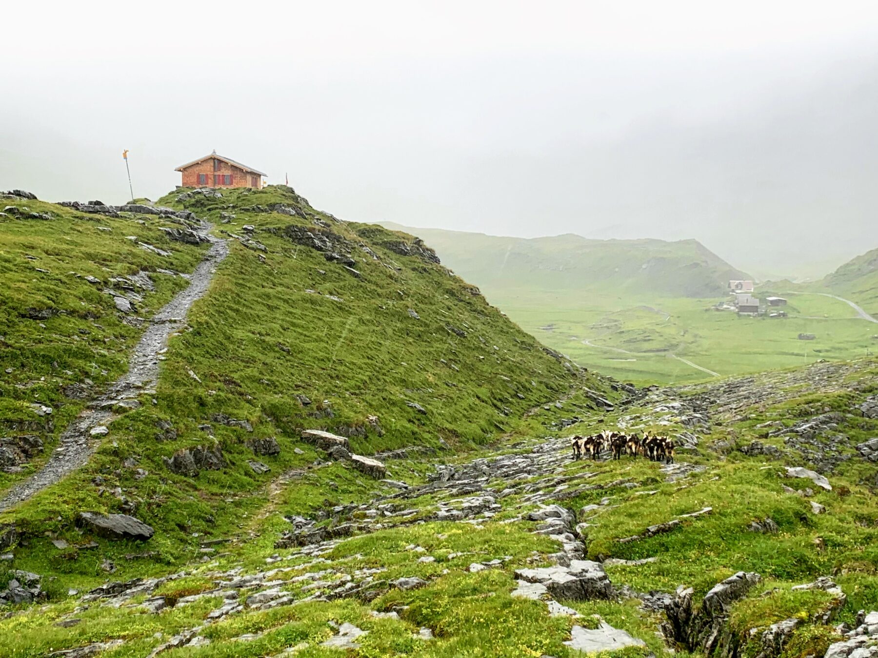 wanderung_glattalphuette