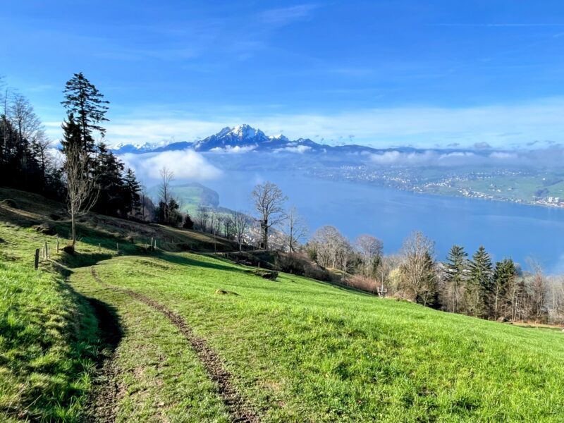 wanderung_greppen_rigi_
