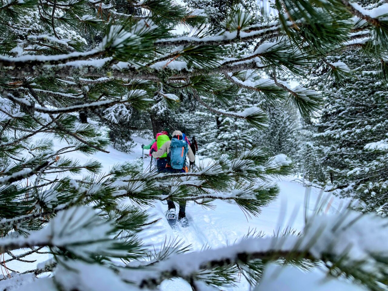 Via Silenzi mit Schneeschuhen: Einsamkeit in unberührter Winterlandschaft