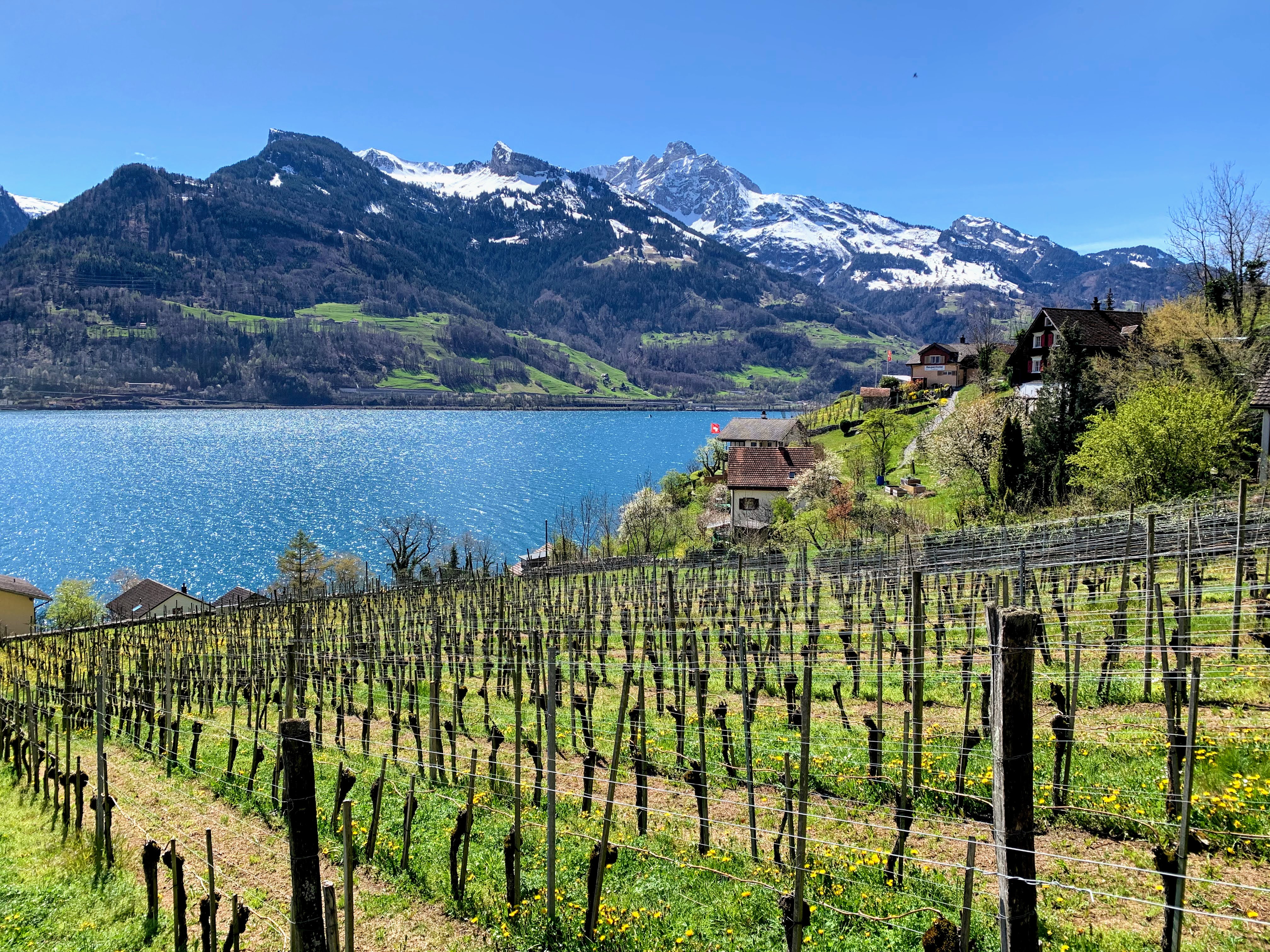 Wanderung von Weesen nach Quinten: Entdecke die Schönheit des Walensees