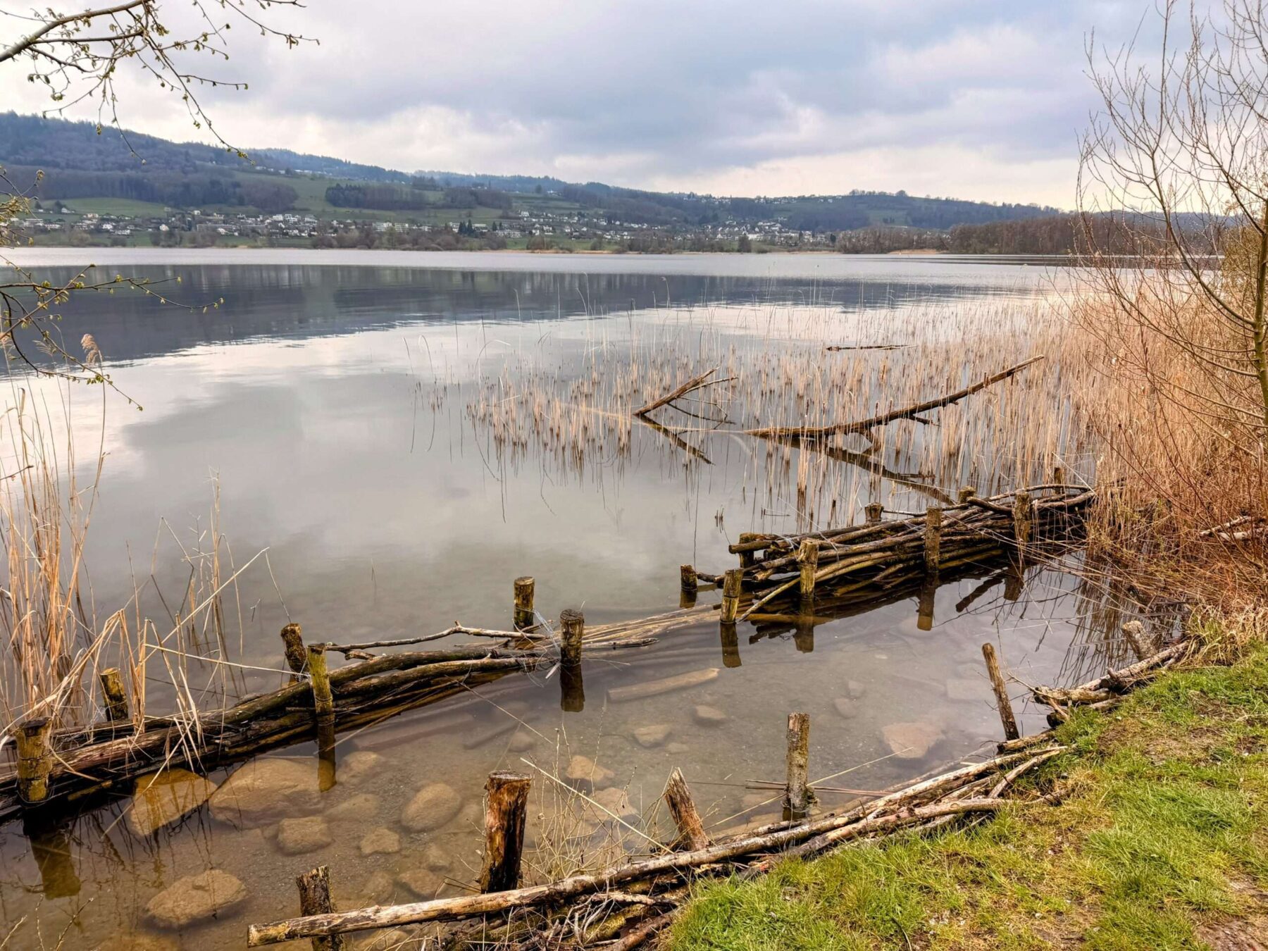 wanderung_umrundung_hallwiler_see_