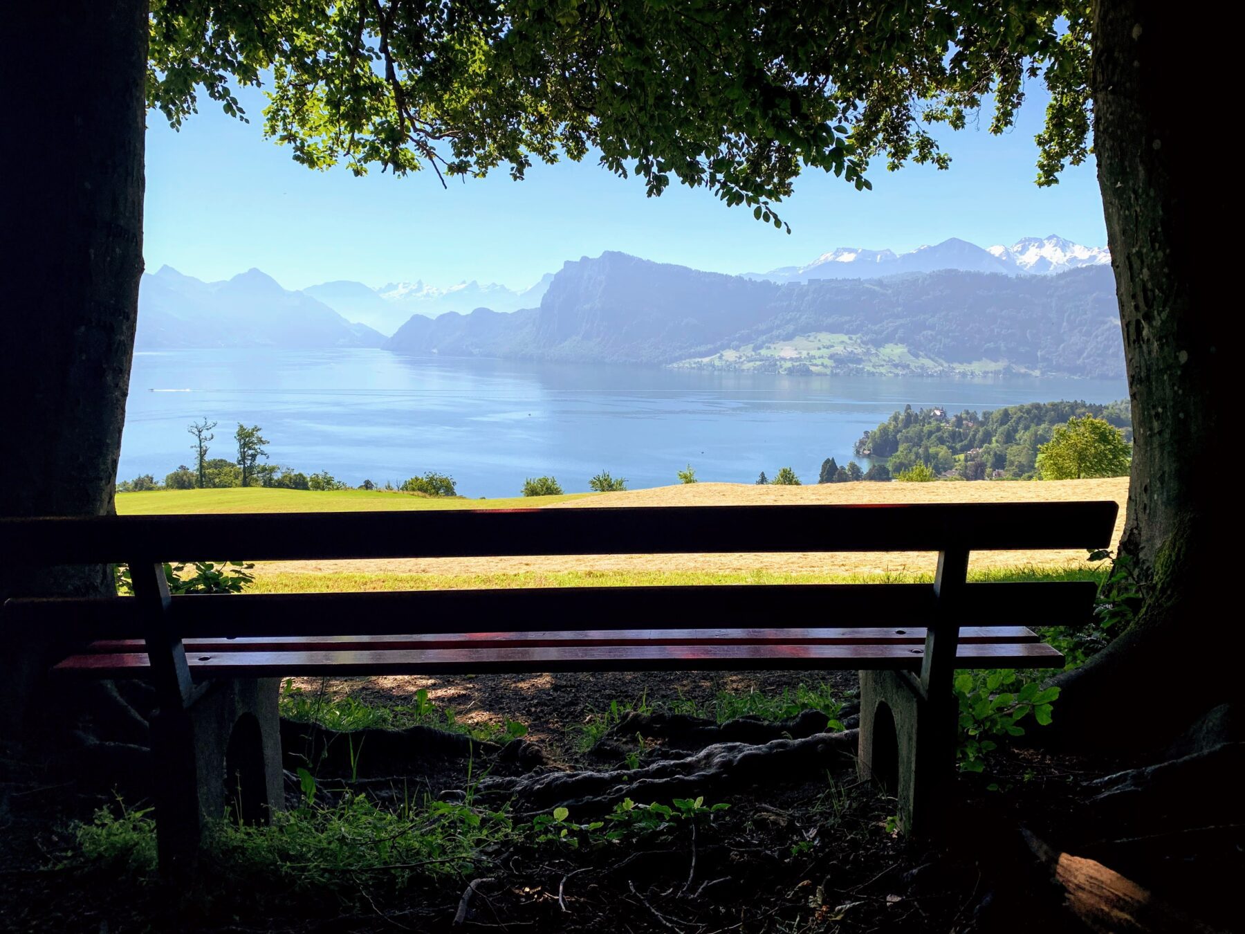 wanderung_vierwaldstaettersee_luzern_alpnachstad_