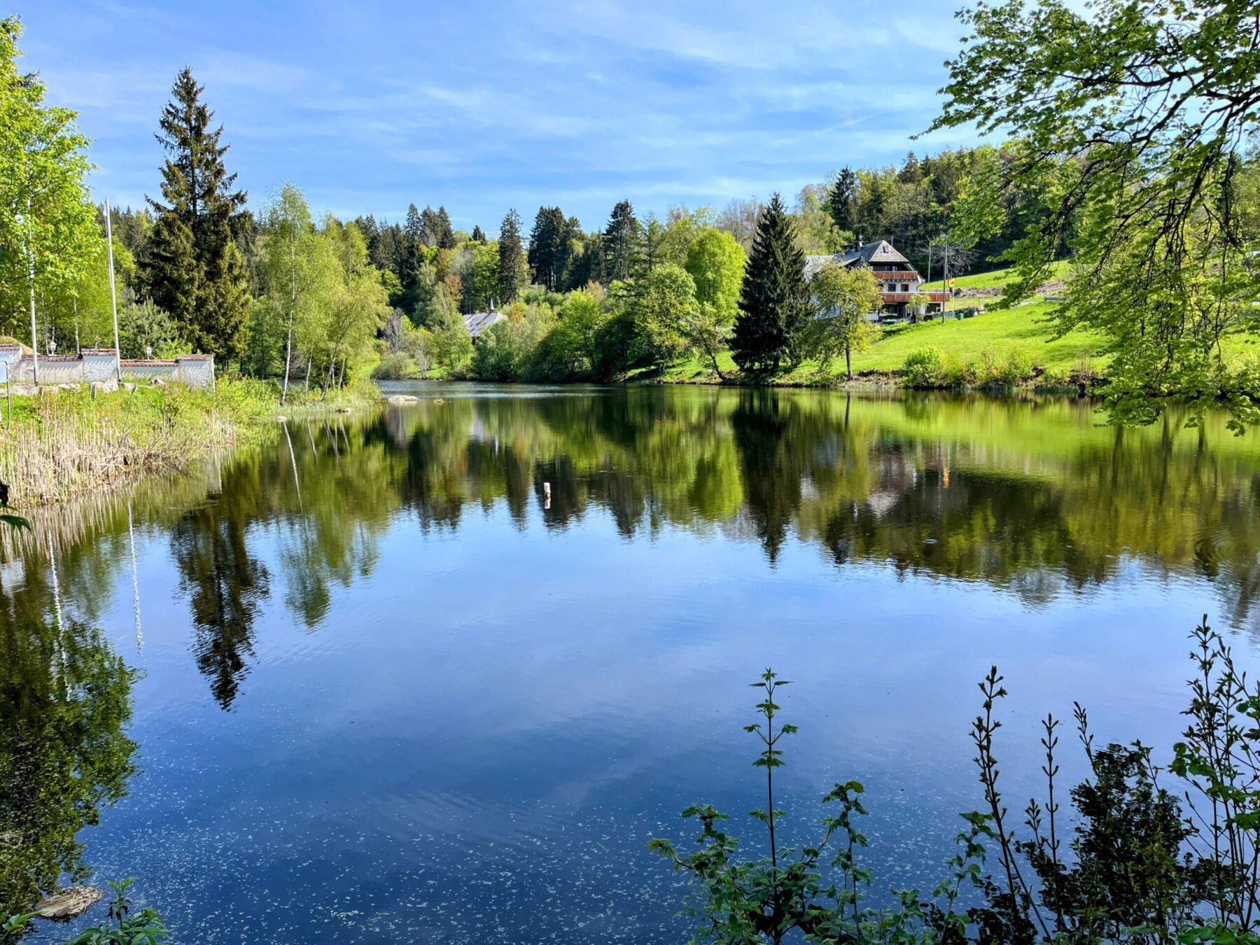 wanderung_schluchtensteig_schwarzwald_