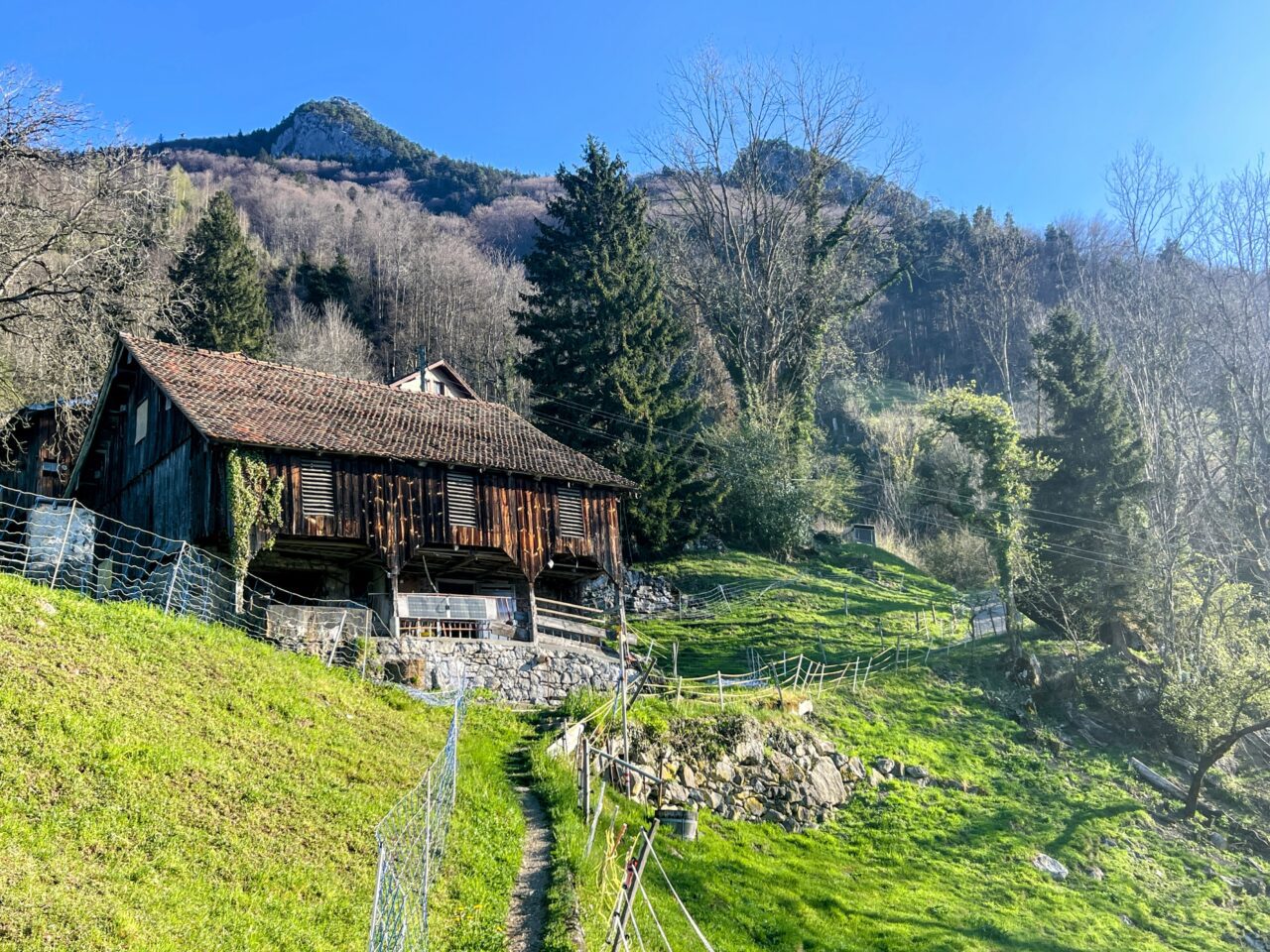 Bützi und Stockflue Wanderung: Eine anspruchsvolle Tour mit spektakulären Alpenpanoramen