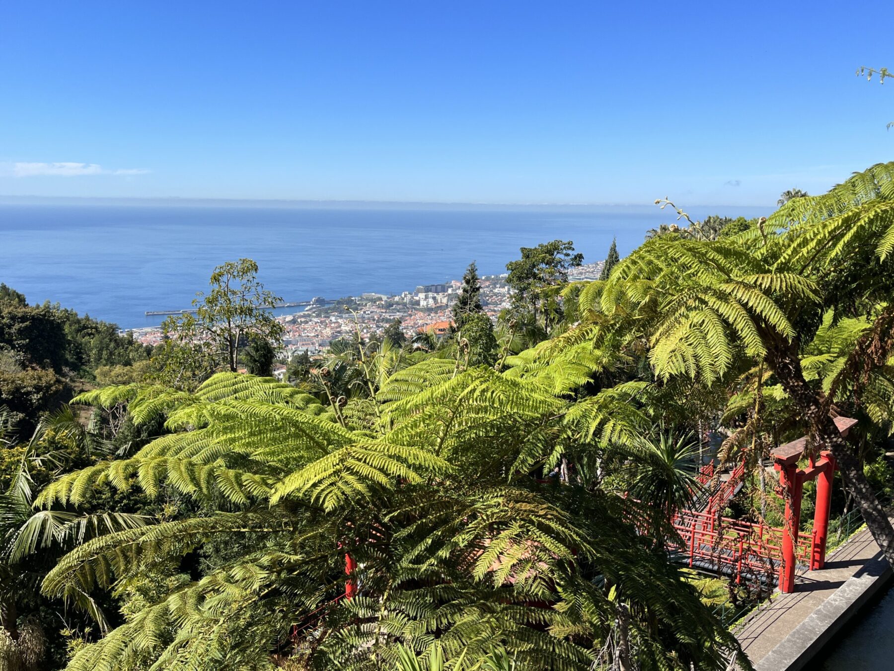 wanderung_mystical_garden_funchal_