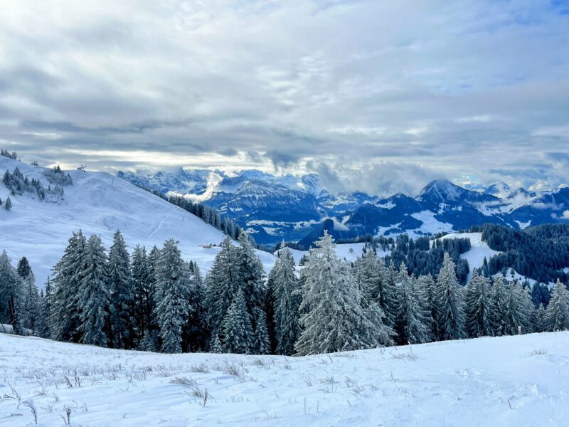 schneeschuhtour_biberegg_hochstuckli_haengebruecke__IMG_2141