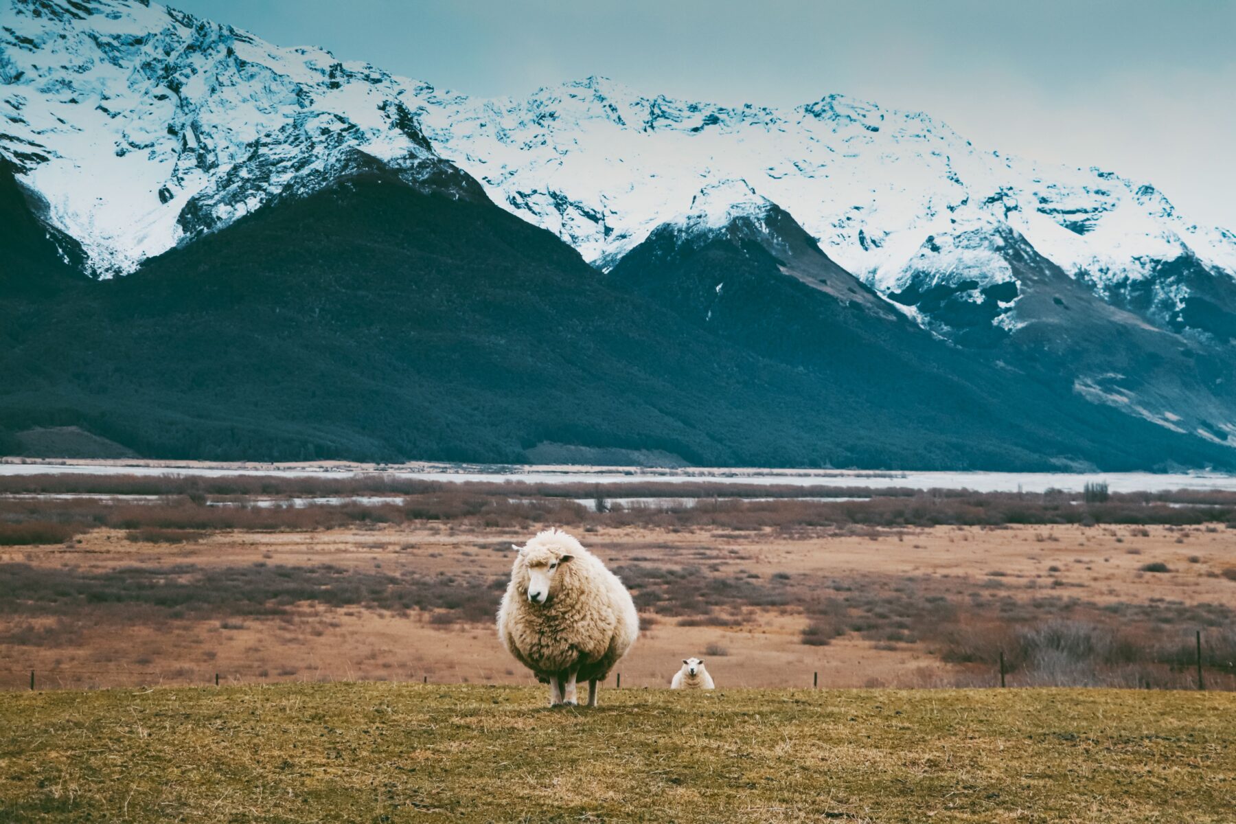 neuseeland