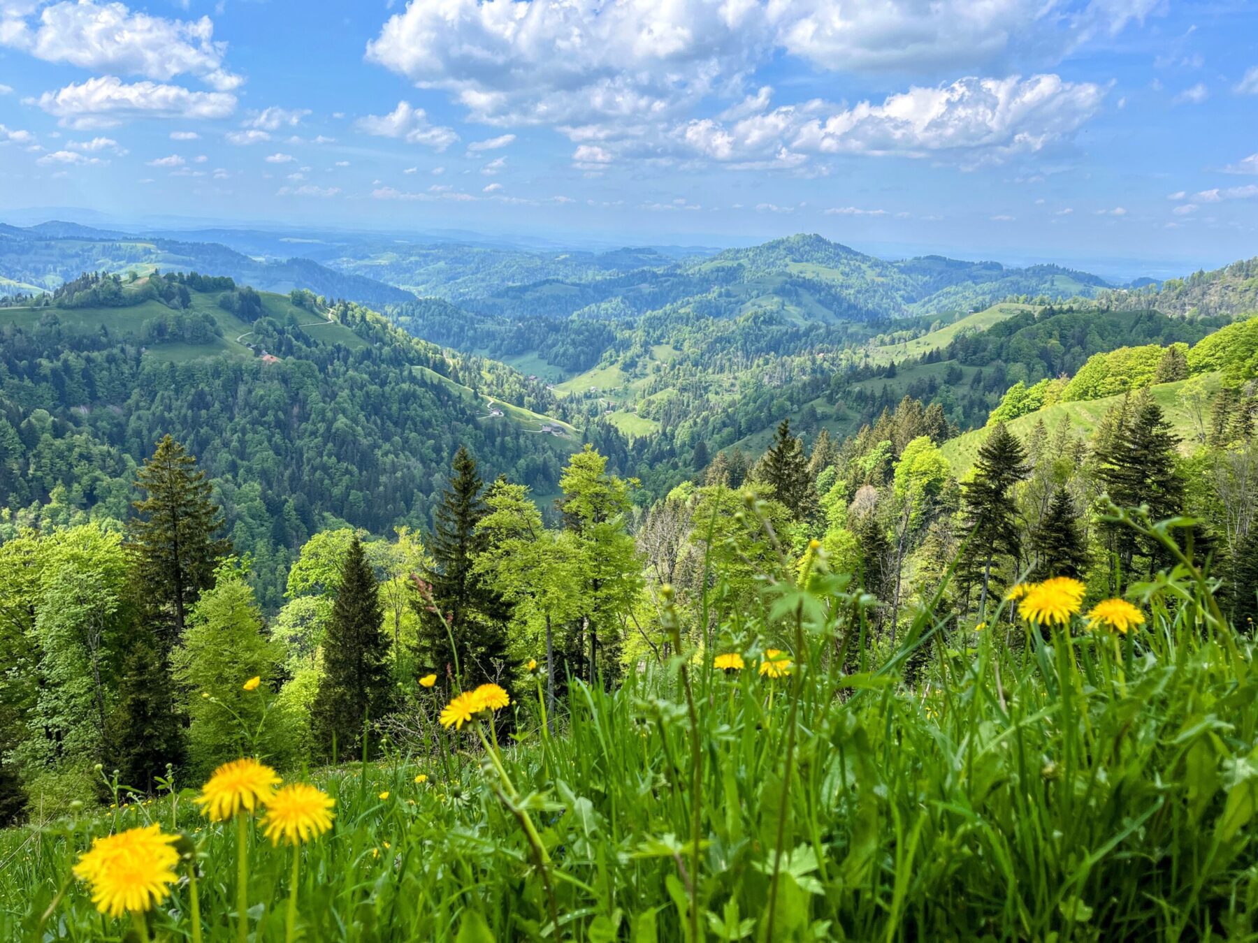 wanderung_schnebelhorn_