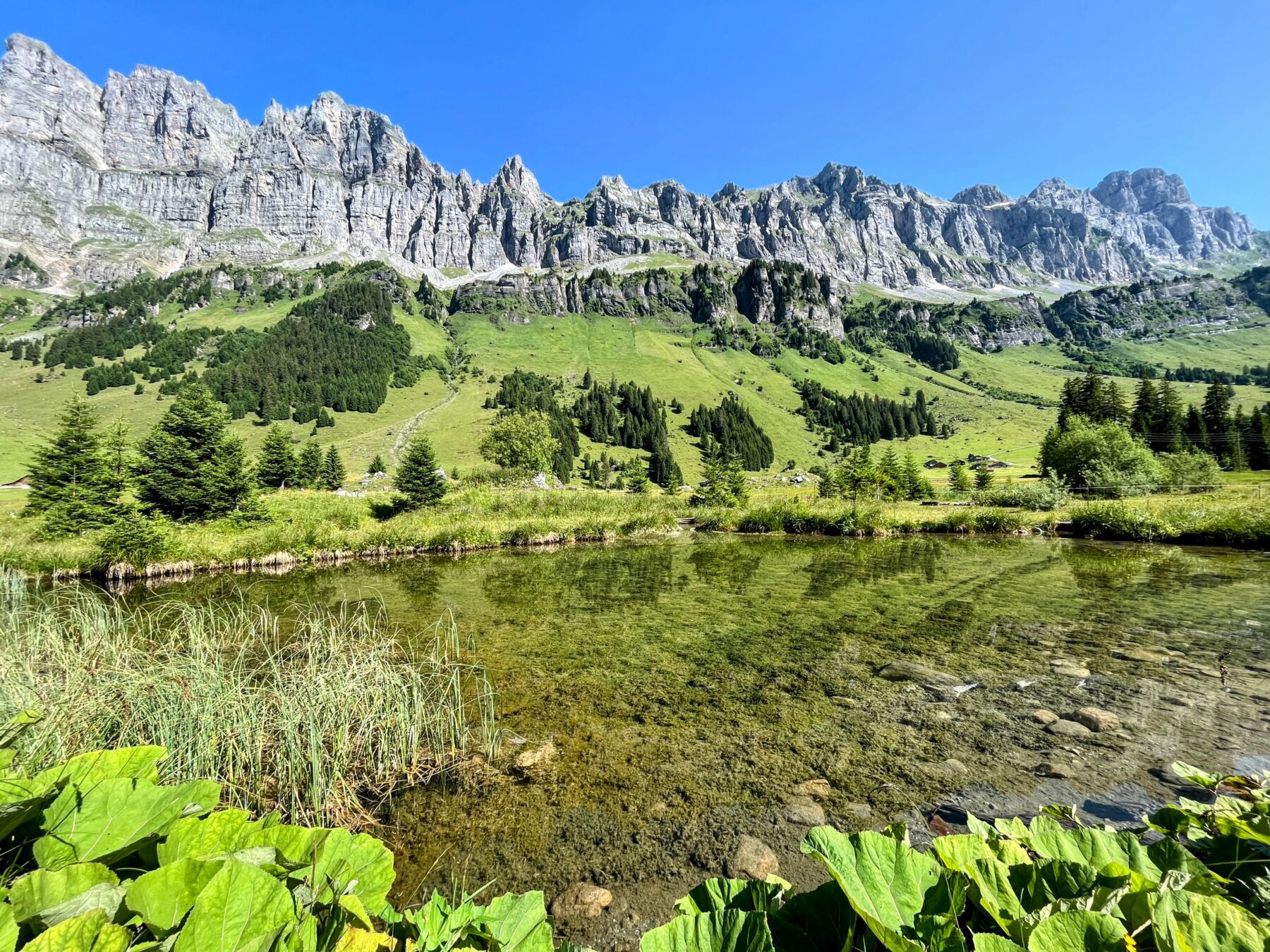 Wanderung_Via_alpina_urnerboden_linthal_