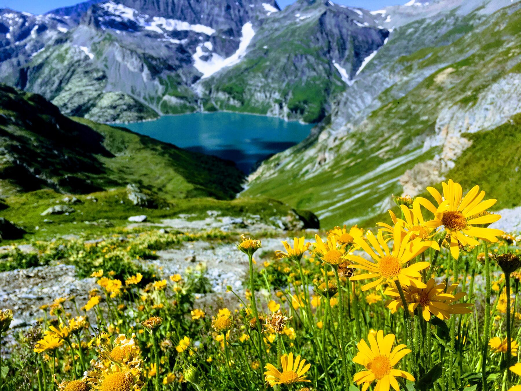 wanderung_tour_des_dents_du_midi_