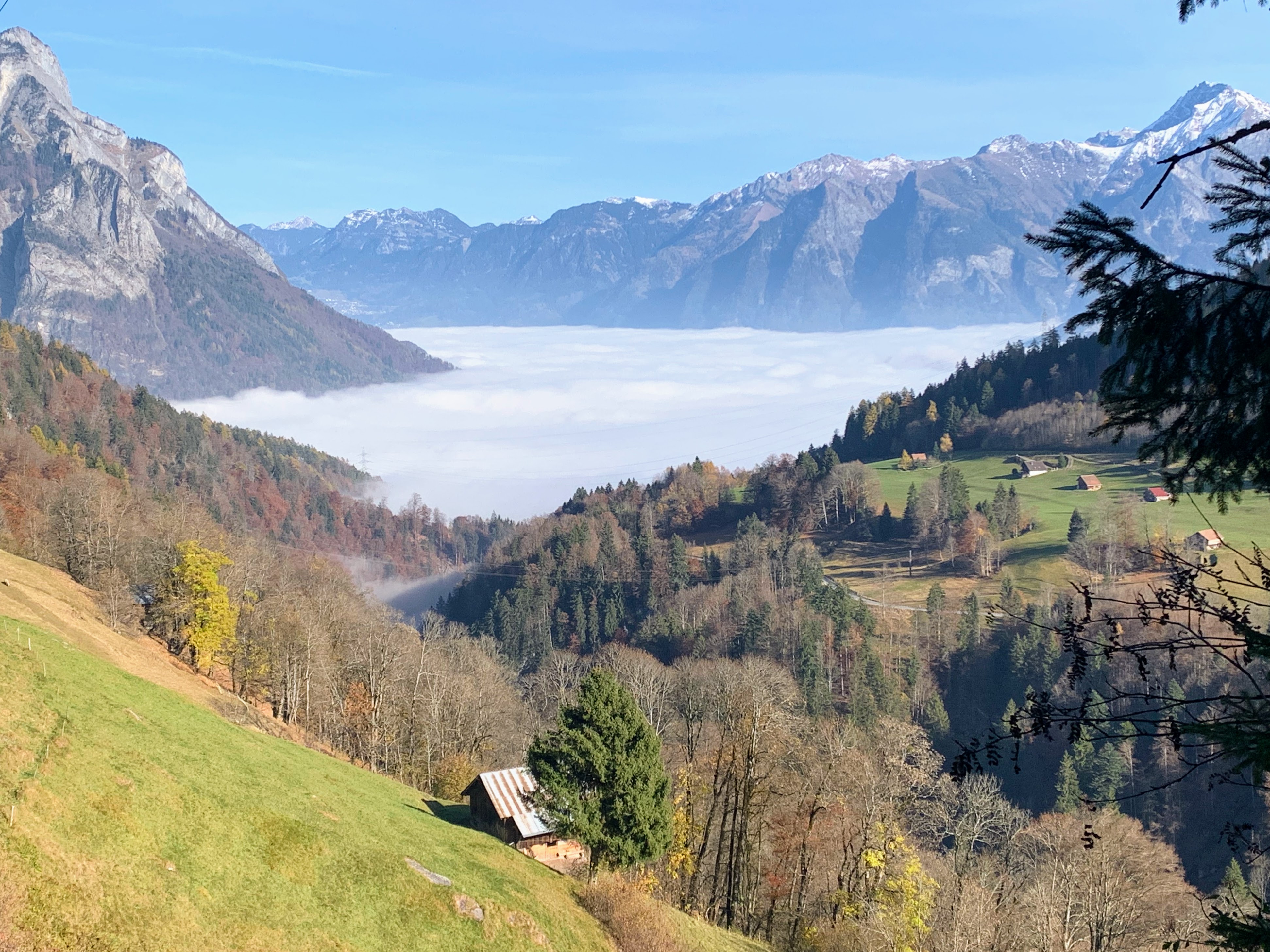 via_alpina_etappe_2_sargans_weisstannen_