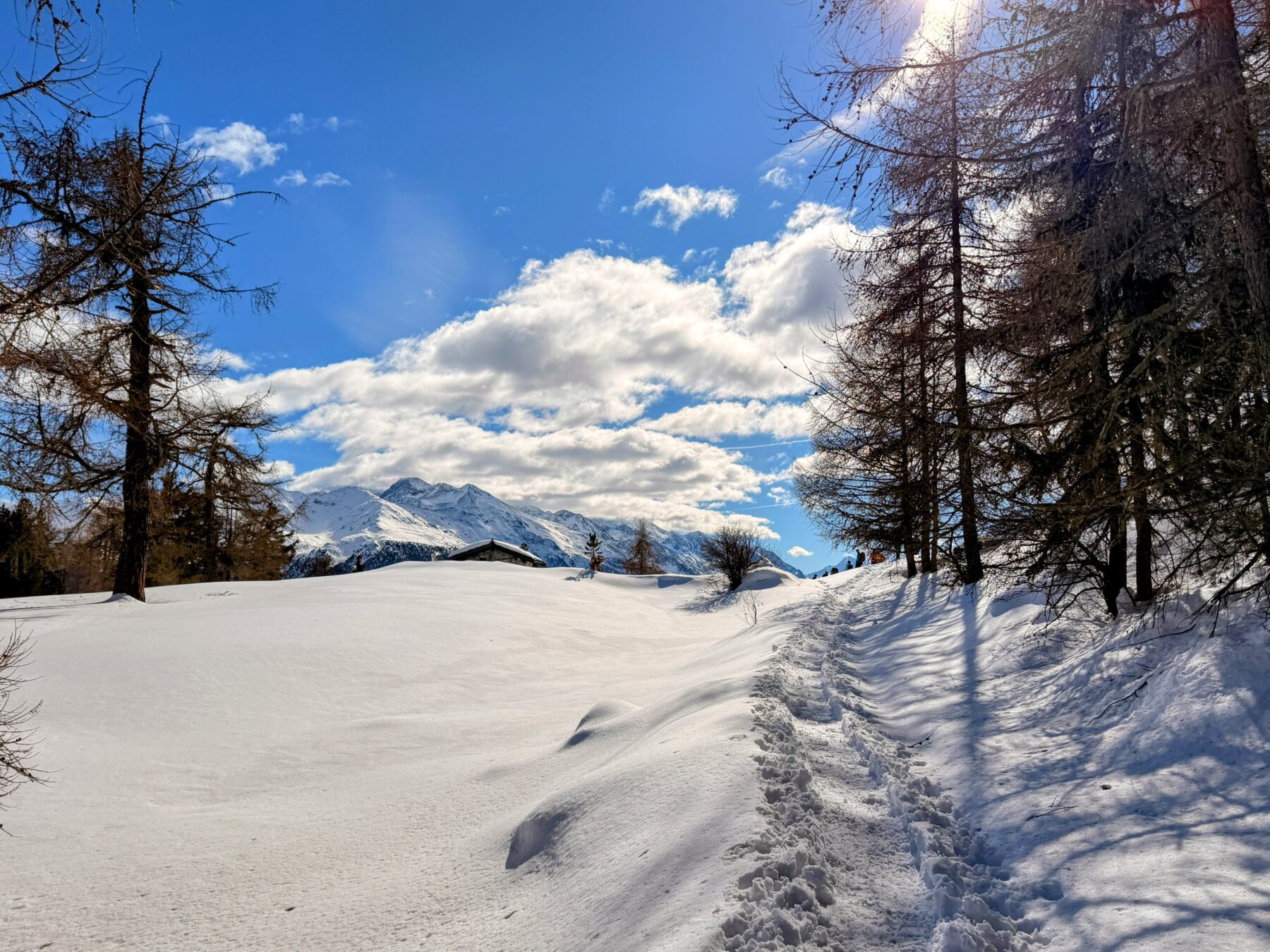 schneeschuhwanderung_buerchen_stand__IMG_9880