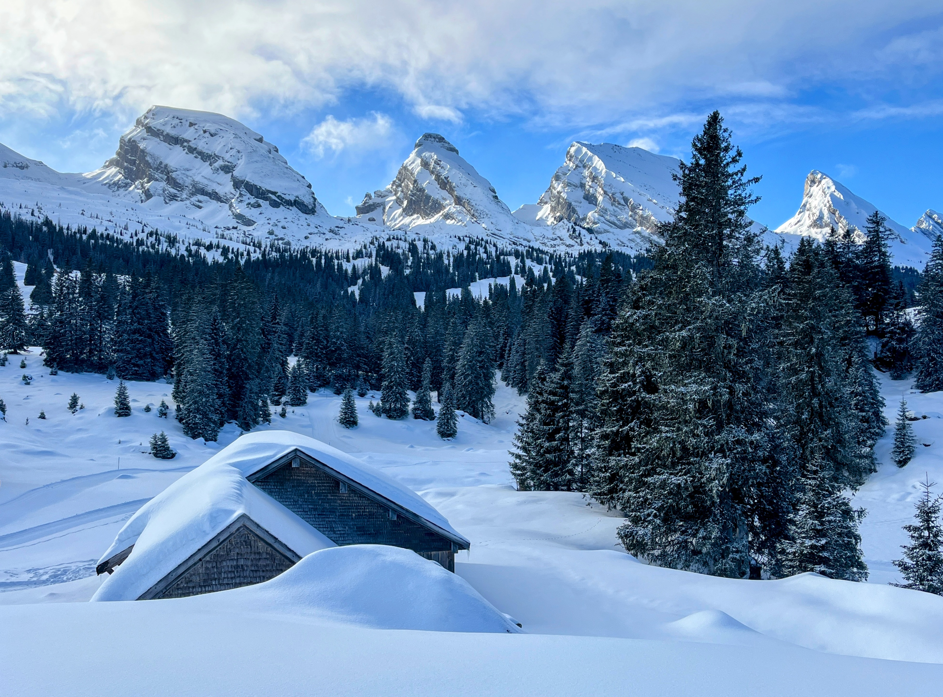 schneeschuhwandern_alp_sellamatt_fruemseltal__IMG_6692