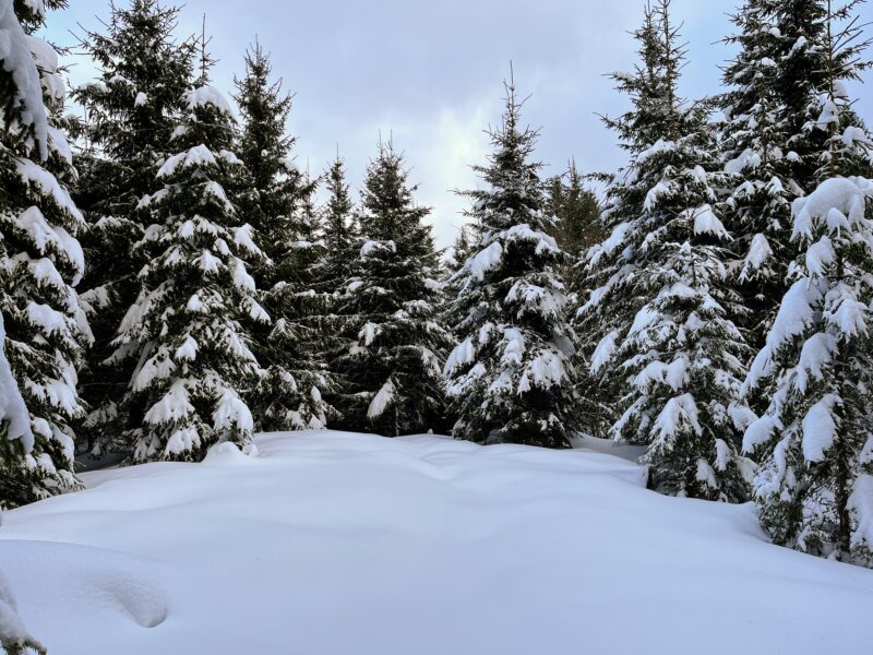 schneeschuhwanderung_sattel_
