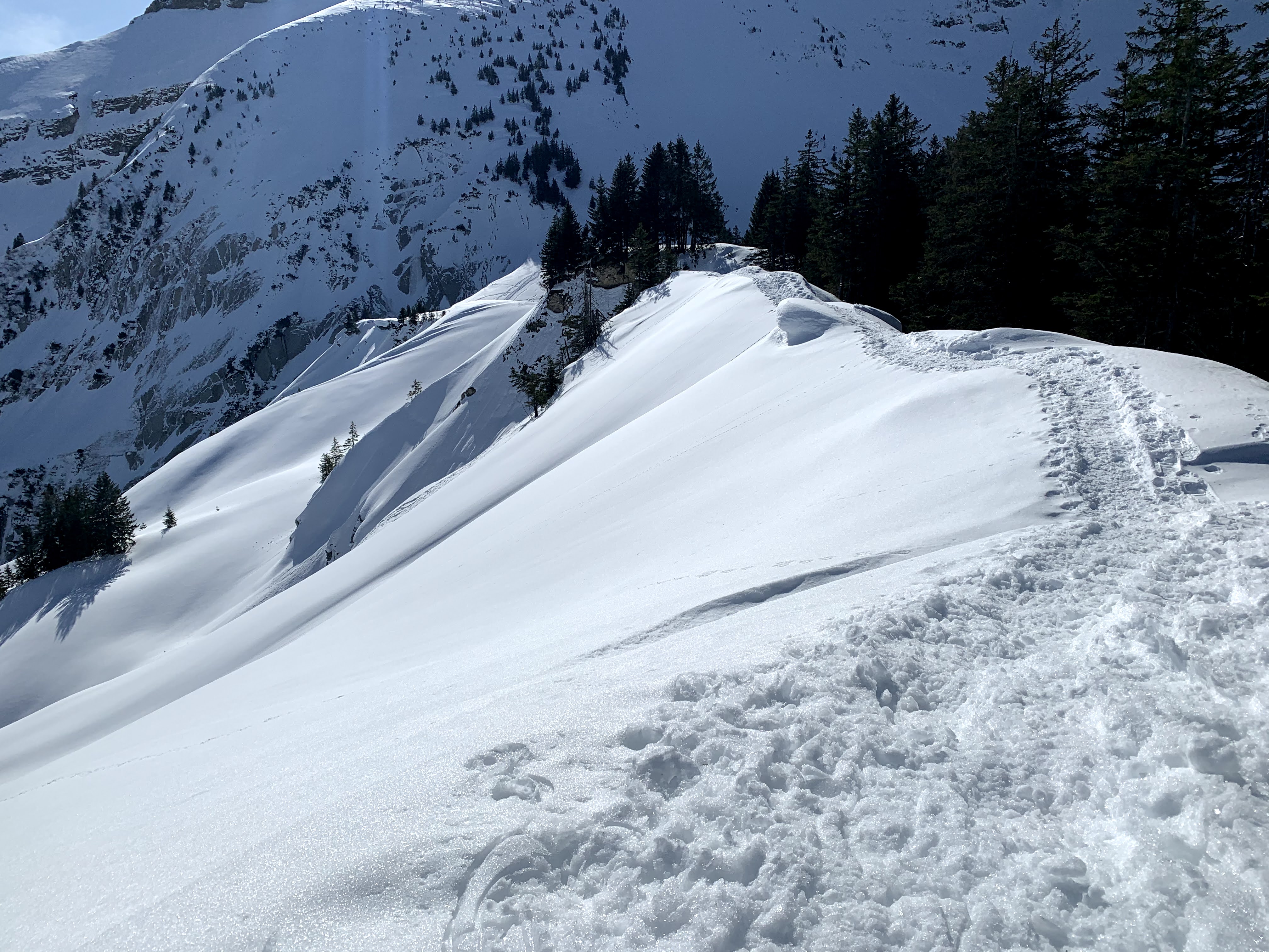 schneeschuhtour_fluegenspitz_