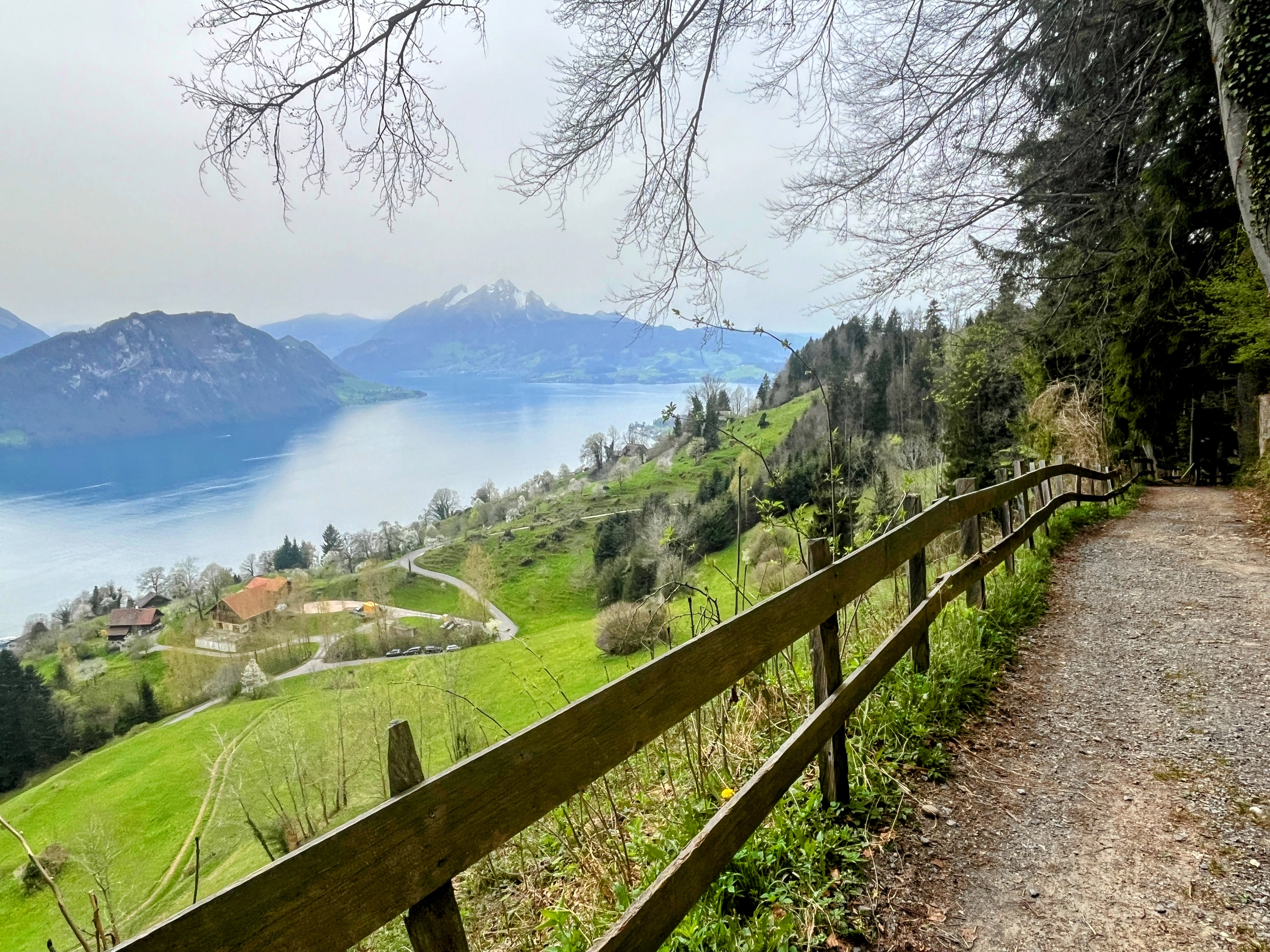 wandern_weggis_rigi_