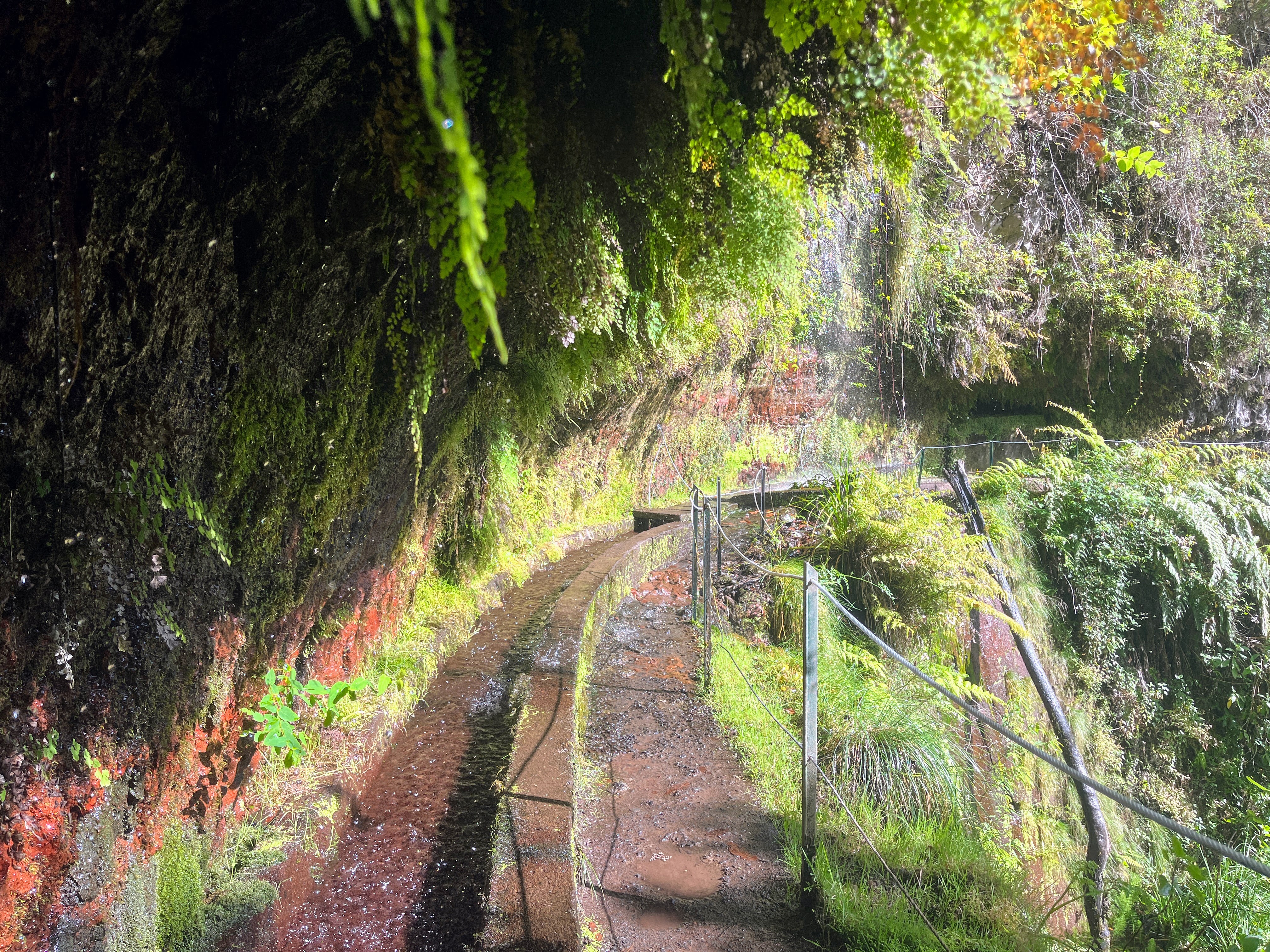 wanderung_levada_do_rei_pr18_