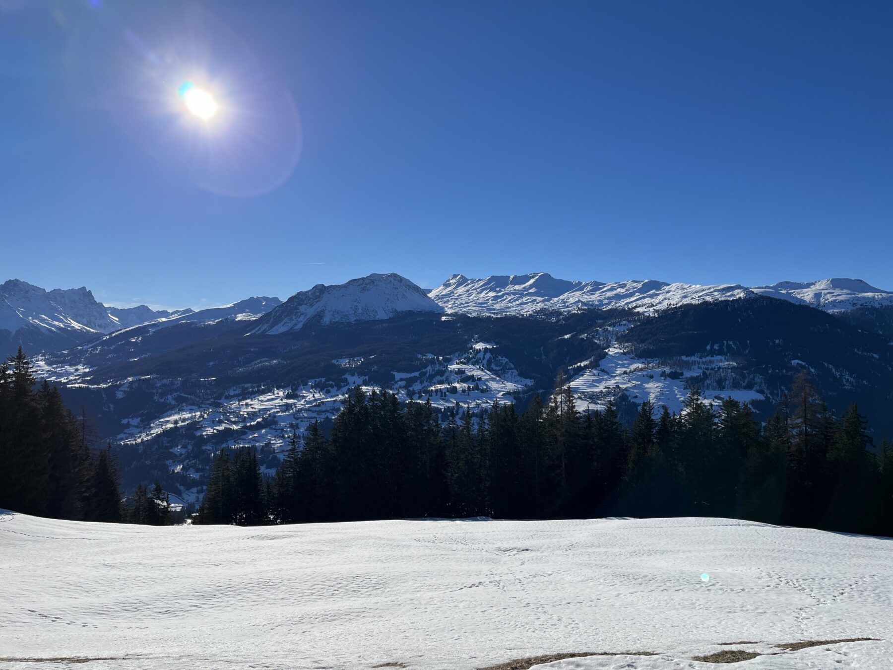 schneeschuhwandern_lantsch__IMG_0293