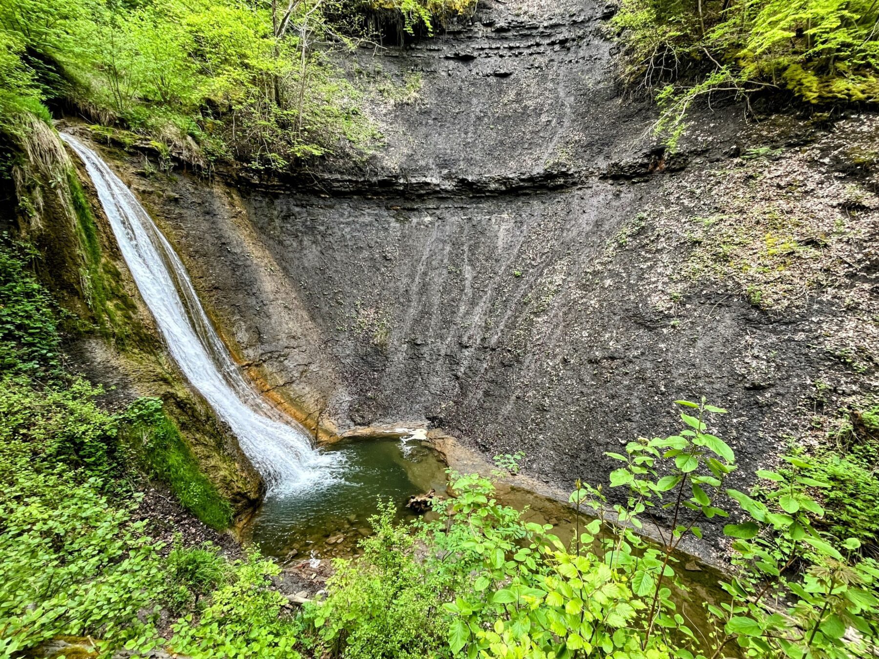 wanderung_schluchtensteig_schwarzwald_