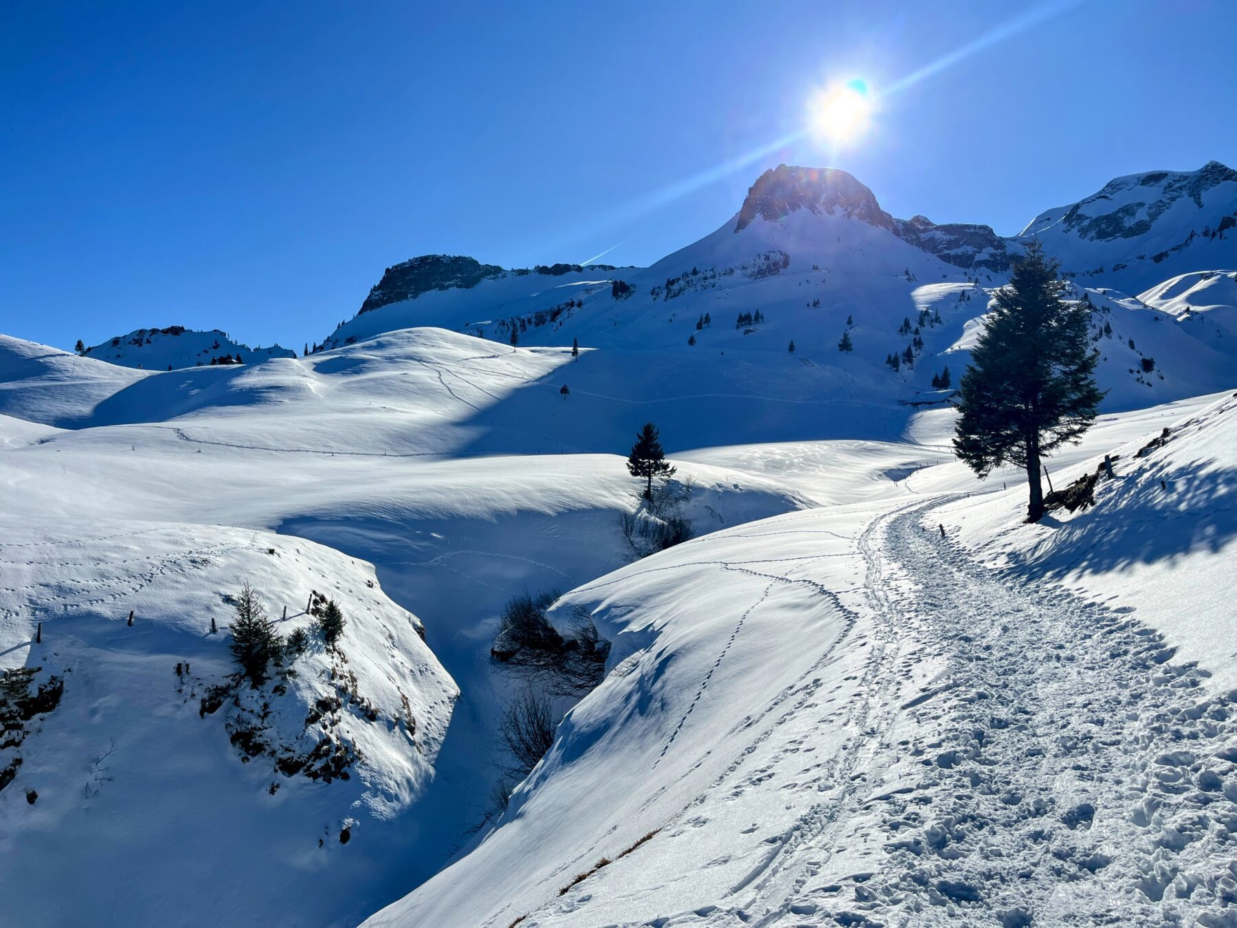 schneeschuhwanderung_wirzweli_arvitrail_chaelenhuette_