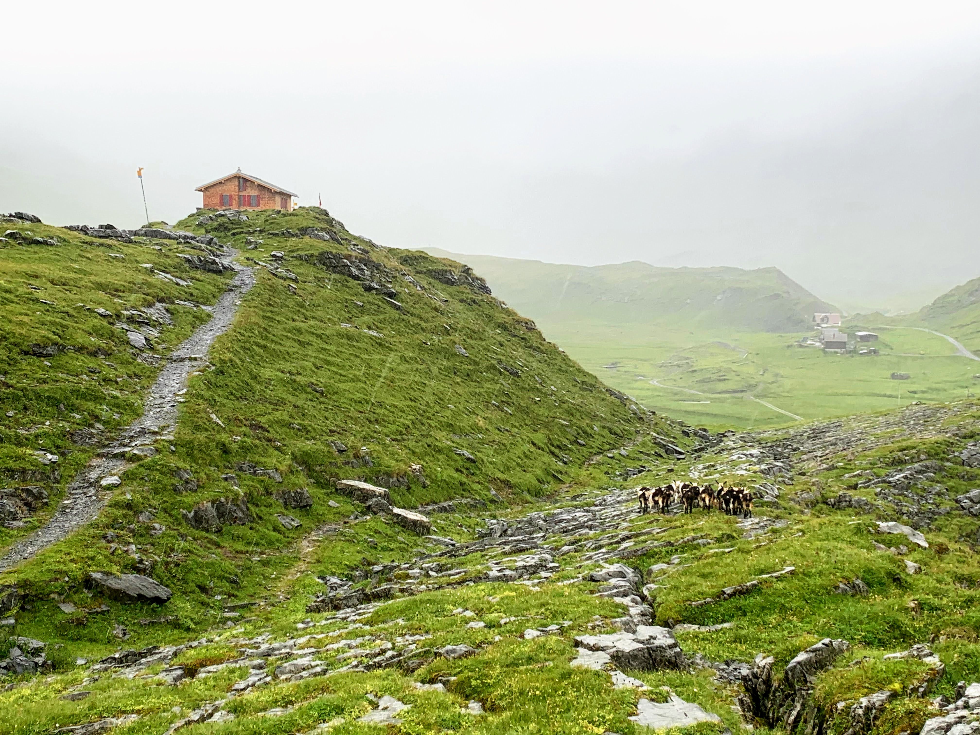 wanderung_glattalphuette